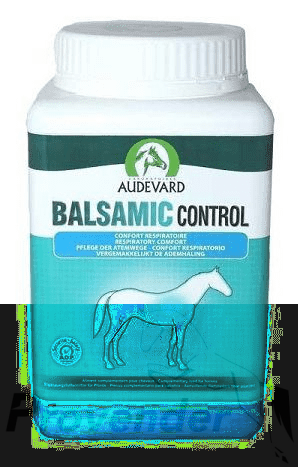 balsamic control.png