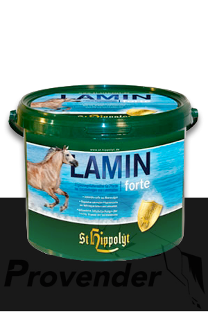 laminf1.jpg