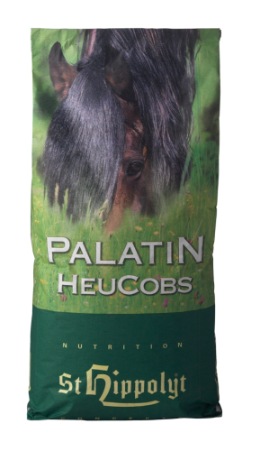 palatin.jpg