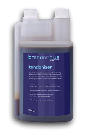 tendonizer.png