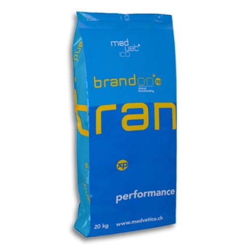 brandon-xp.png