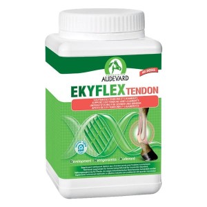 Audevard Ekyflex Tendon 600 g
