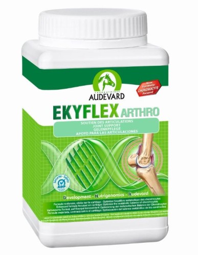 ekyflex-arthro-1-kg3.jpg