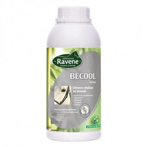 Ravene Becool 500 ml