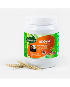Ravene Biotyna 1 kg