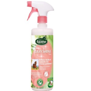 Ravene Easy Shine Spray 750ml