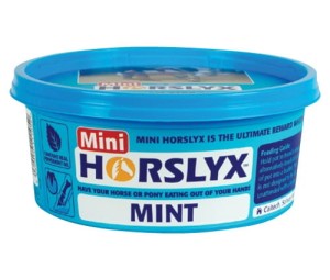 Horslyx Mint 650g