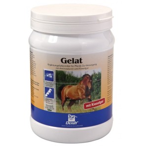 Derby Gelat 700g