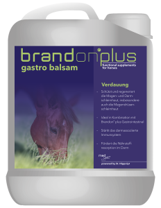 St. Hippolyt Brandon+ Gastro Balsam - balsam na wrzody 2.5l