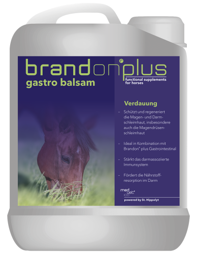 Brandonplus-Gastrobalsam-3D.png