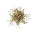 1577_agrobs-heu_1.jpg