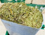 DELUX Siano odpylone dla koni 15kg Paleta 10szt.