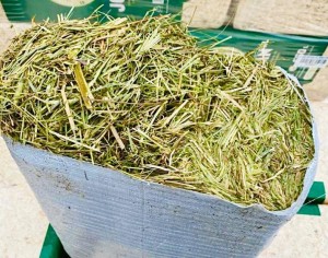 DELUX Siano odpylone dla koni 15kg Paleta 10szt.