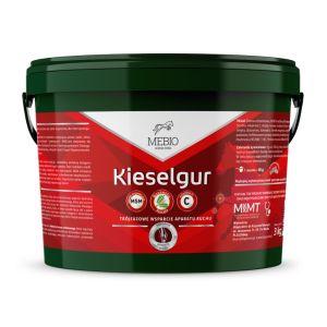 MEBIO Kieselgur MSM + Wit. C 3 kg