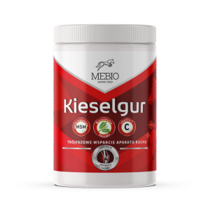 MEBIO Kieselgur MSM + Wit. C 1 kg