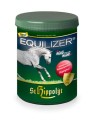 equili1.jpg