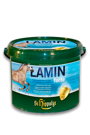 laminf1.jpg