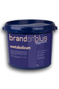 St. Hippolyt Brandon Plus Metabolicum