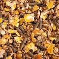 emh_F-musli_p.jpg