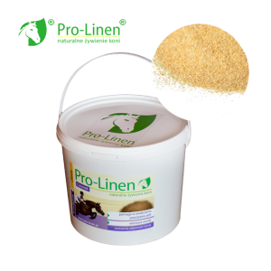 Pro-Linen Czosnek Granulowany 1kg