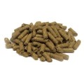 s-p-dravers-brok.jpg