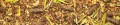 FF9D45F7-51AA-4D35-B854-9F93D31E8774.jpeg