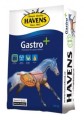 b-gastro-bag-small.jpg