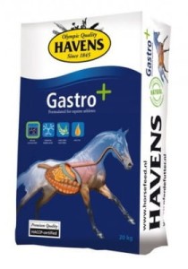 Havens Gastro + 20kg