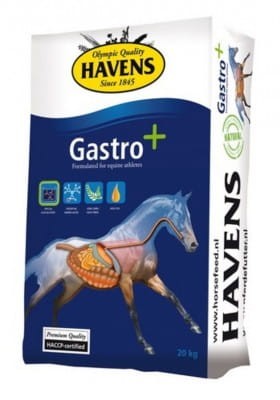 b-gastro-bag-small.jpg