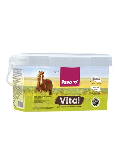 vital2.jpg