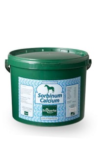 St. Hippolyt Calcium Sorbium 10kg