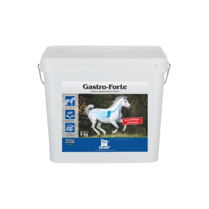 Derby Gastro Forte 5kg