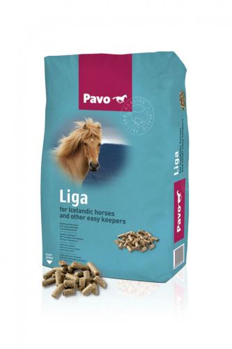 liga.PNG